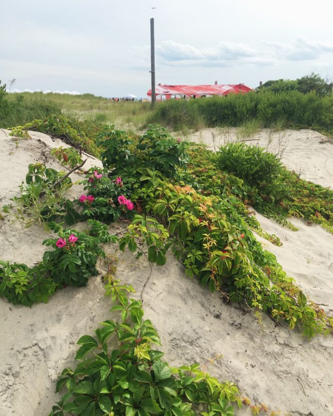 Katharina Grosse's Rockaway Colors installation in Fort Tilden for MoMA PS1